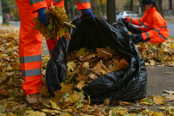Workers cleaning street from fallen leaves on autumn day