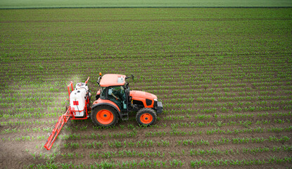 Tractor spraying corn field