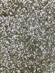 봄 비내리는 벚꽃 길