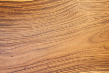 Texture wood background 