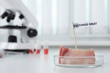 Petri dish with sample of lab grown pork labeled Cultured Meat on white table in laboratory. Space...