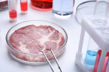 Sample of cultured meat on white lab table