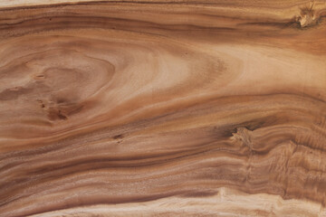Texture wood background 