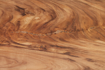 Texture wood background 