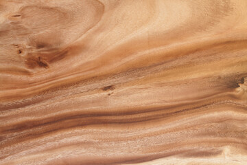 Texture wood background 