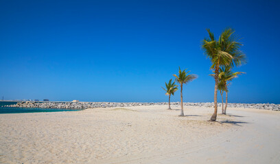 Palm trees on Al Mamzar beach in Dubai