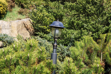 Luxurious rock garden with coniferous shrubs.