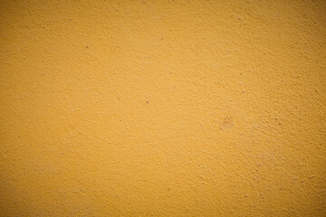 Yellow moss on a gray wall. Background wall, Moss texture