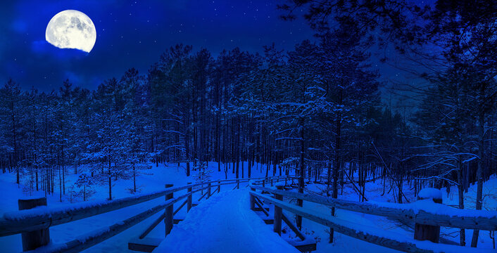 Magic starry night with full moon in winter forest. Wooden pathway covered in snow in pine forest. Coniferous forest with footpath in moonlight during snowy winter night. - Powered by Adobe