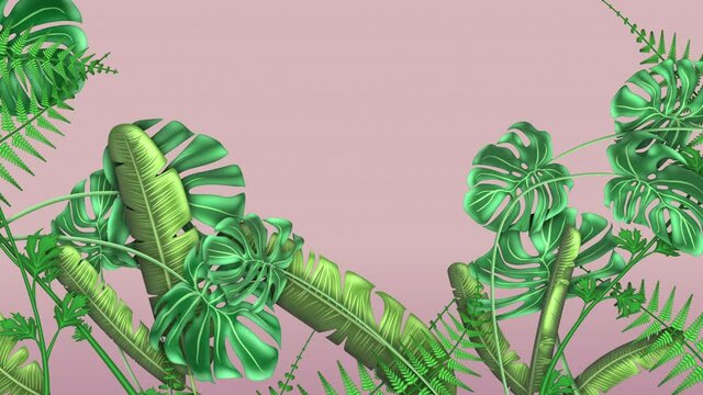 Tropical plants, loop-able from 20:00 to end. Monstera, Banana Palm. Leaves, ferns, flowers animation on pink background, with a copy space area for your logo, text or titles.