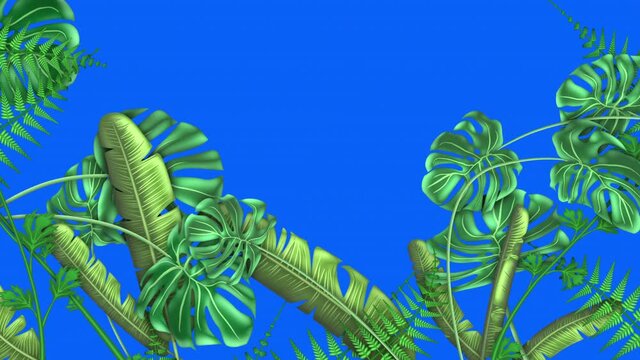 Tropical plants, loop-able from 20:00 to end. Blue screen chroma key. Monstera, Banana Palm. Leaves, ferns, flowers animation on blue background, with a copy space area for your logo, text or titles.