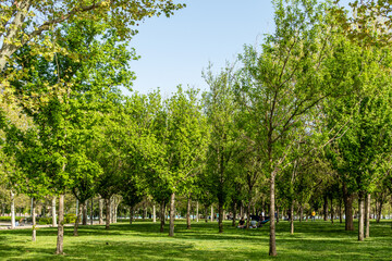 Fototapeta na wymiar Madrid Enrique Tierno Galvan park, where the planetarium is located
