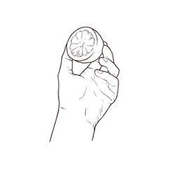 Hand holding lemon hand drawn illustration 