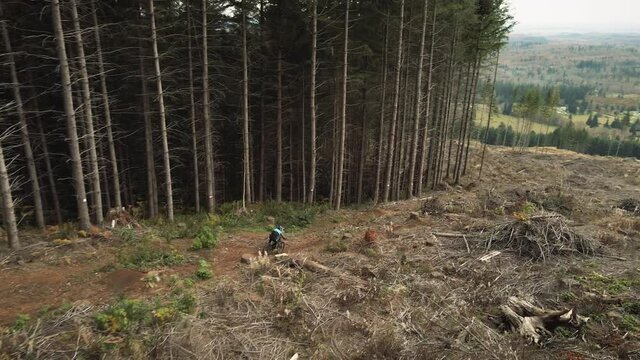 Mountain Bike Drone Video of Jumps in Forest Clear Cut