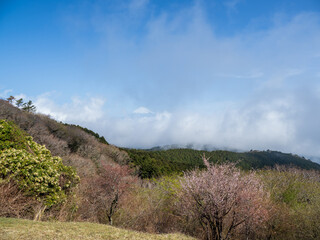 Obraz premium 春のだるま山高原展望台からの風景 3月