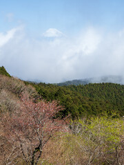 春のだるま山高原展望台からの風景　3月