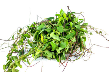 Weed or unwated flora isolated on white background. Pile of green weed garbage isolated - obrazy, fototapety, plakaty