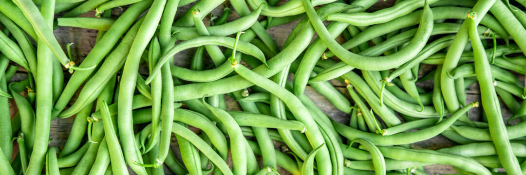 Banner, fresh raw Phaseolus vulgaris, green bush beans, topview