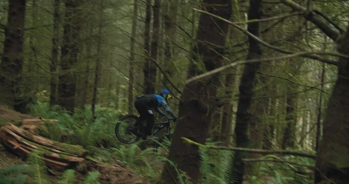 Mountain Bike Rider Charging Trail and Jumping in Lush Green Forest