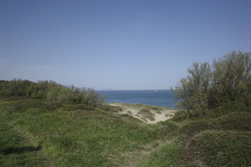 Shore of the Basque Country