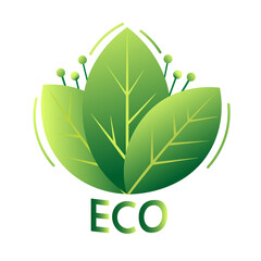 Eco friendly leaf icon