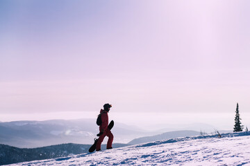 Female with snowboard. Snowboarder walking on snowy slop watching beautiful atmospheric mountain...
