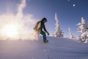 Silhouette of Snowboarder walking on snowy powder near  fir-tree forest covered with snow