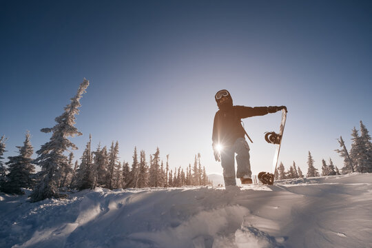 Silhouette of Snowboarder walking on snowy powder near  fir-tree forest covered with snow