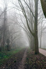 View of the footpath by the road in the fog.