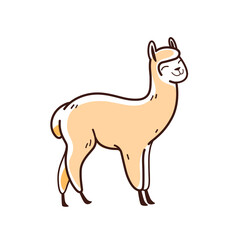 Cute alpaca - cartoon animal character. Vector illustration in flat style isolated on gray background.