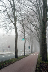 View of the city road in the fog.