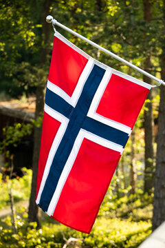 norwegian flag in spring - norsk flagg 