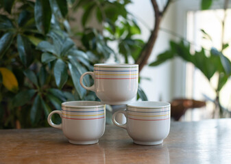 Mid-century modern porcelain coffee cup set on a wooden table with plants and window in the background