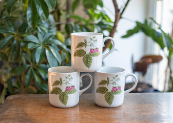 Vintage porcelain cup set with raspberry pattern on a wooden table with green plants in the background