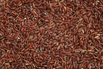 brown rice close-up, brown ​​rice texture