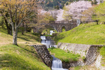 岐阜県揖斐郡池田町　霞間ヶ渓の桜2
