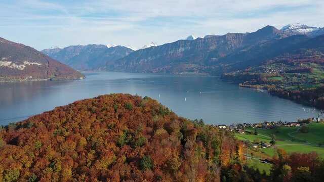 Aerial footage of the stunning lake Thun in Canton Bern with autumn colors in Switzerland near Spiez