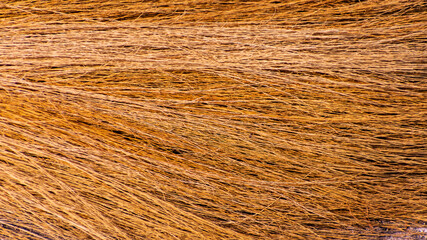 indian organic broom sticks and feathers