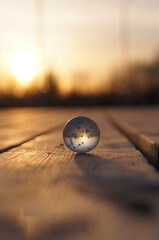 The world in the ball