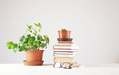 Home plants and a stack of books on a light background