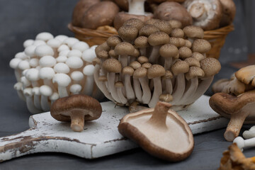 Variety of uncooked wild forest mushrooms isolated on gray background.