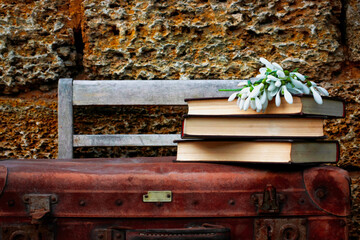 subject photography, suitcase with books and snowdrops, white flowers