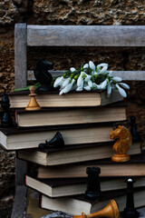 shooting subject photography, books and chess with white flowers