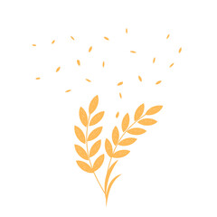 Golden wheat ears isolated on white background vector.