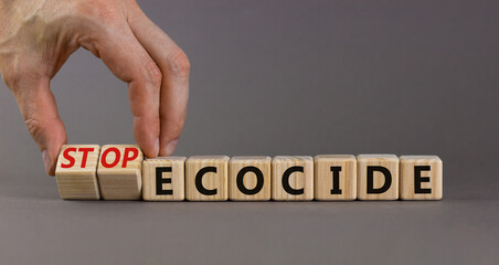 Stop ecocide symbol. Businessman turns wooden cubes and changes words ecocide to stop ecocide. Beautiful grey background, copy space. Business, ecological and stop ecocide concept.