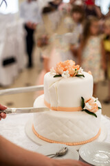 Beautiful wedding cake decorated with flowers, cake close up and blur background