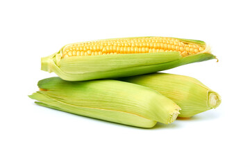 Fresh organic corn cob isolated on white background