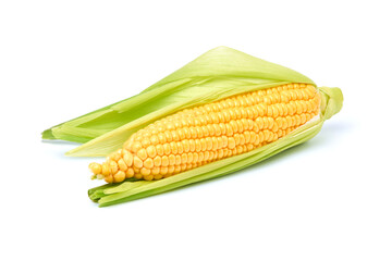 Fresh organic corn cob isolated on white background