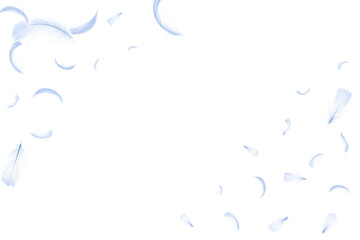 Feather design. Pastel angel feather closeup texture isolated on white background in pattern photography. Abstract. Light blue color trends and vintage.