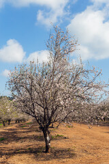 Sunny warm spring day